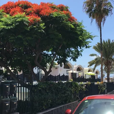 Apartamento La Alhambra Iii San Agustin Maspalomas (Gran Canaria)